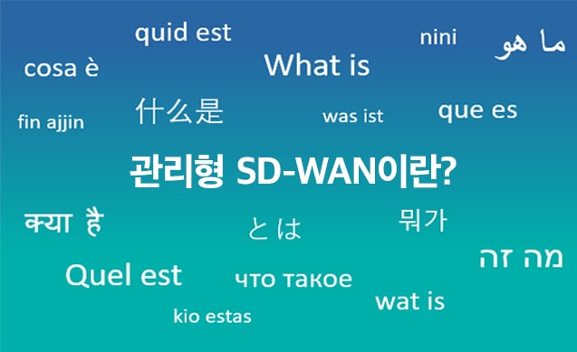 SD-WAN이 뭔가요?