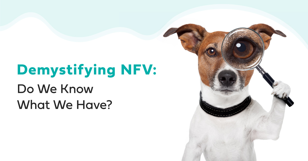 Demystifying NFV: Do We Know What We Have?