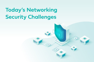 Networking Security Challenges