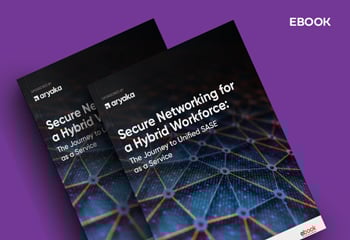 Secure Networking for a Hybrid Workforce
