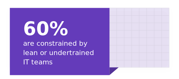 60%は、ITチームのスリム化やトレーニング不足による制約を受けています。