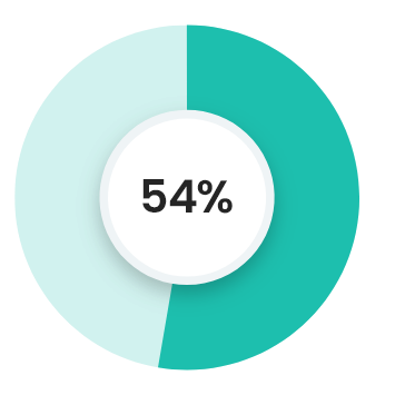 54% - Personnel informatique interne limité